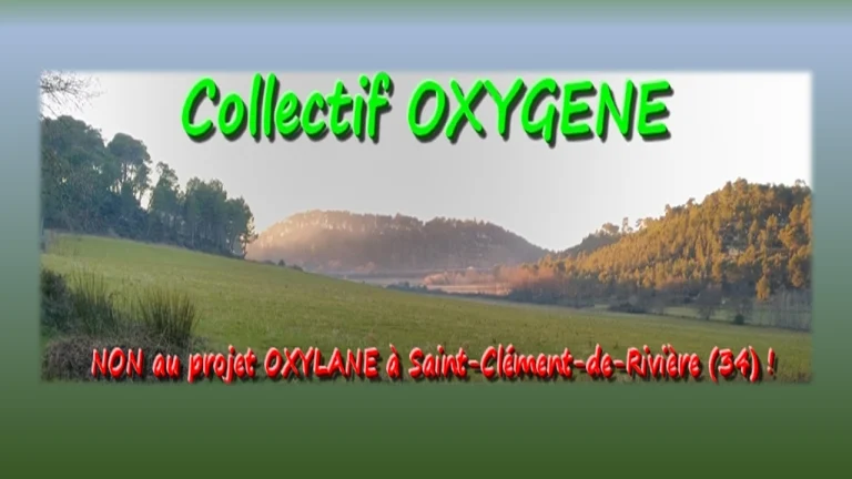 LES PLANTS DES AROMATIQUES DU PIC ST LOUP