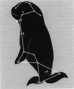 Illustration de la légende : Les six constellations de la légende d’Andromède