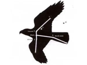 Illustration de la légende : Légende de la constellation  de l’aigle, dernier episode