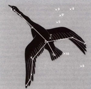 Illustration de la légende : Le Cygne, la fin tragique de Phaéton et de Cycnos