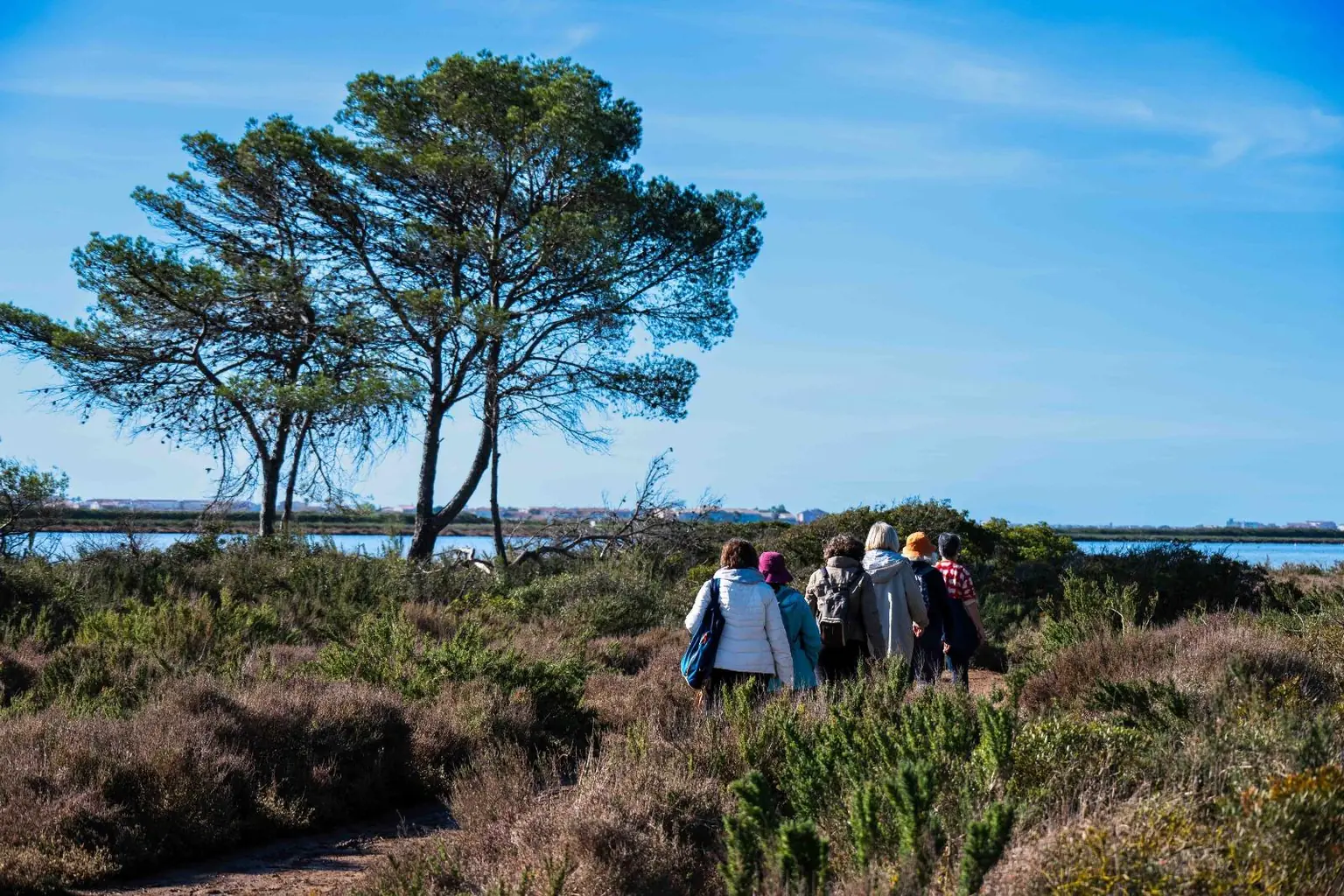 Groupe de Connaissance u0026 Partage marchant vers un étang bordé de pins lors d'une balade naturaliste